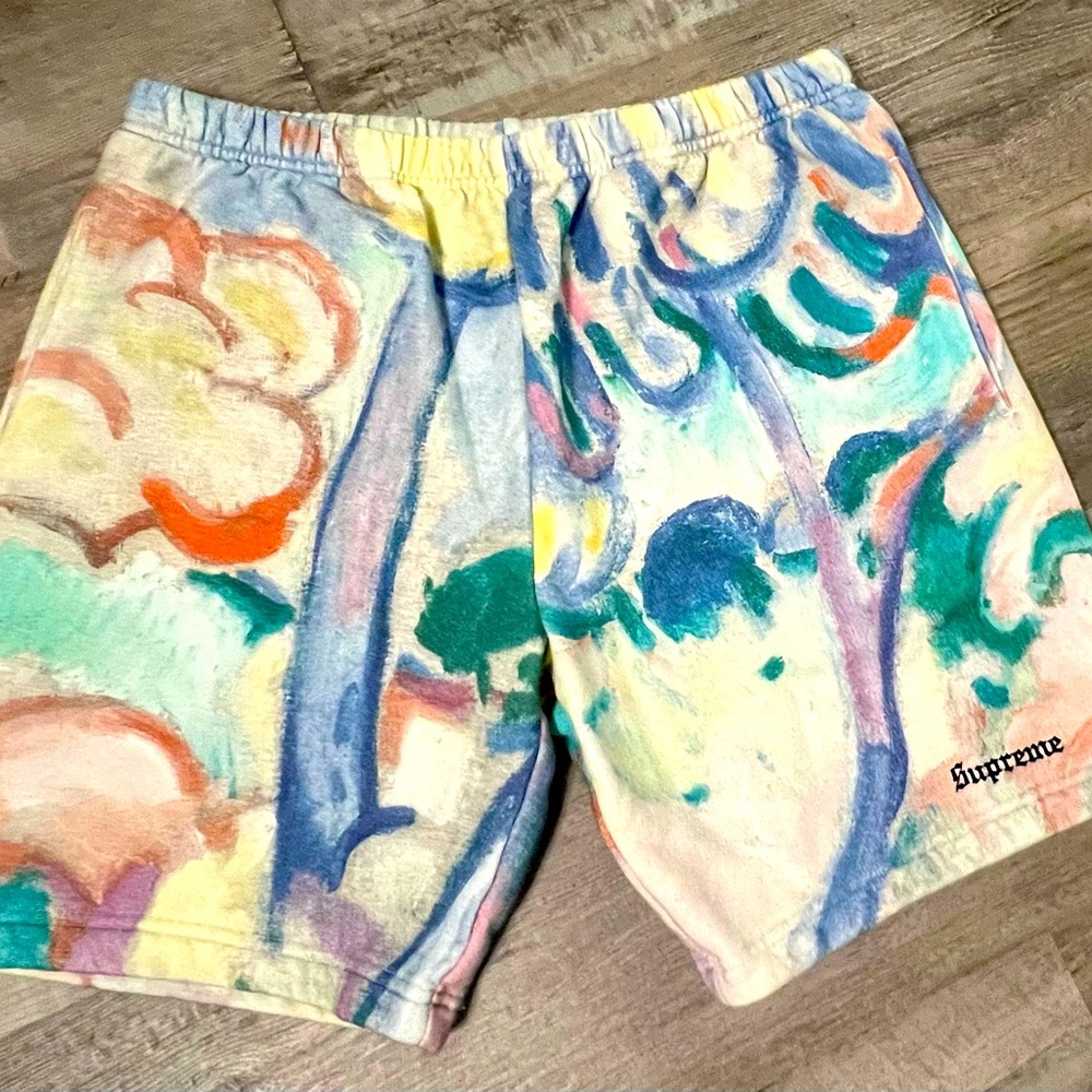 Supreme Landscape Sweat Shorts sz small nwt